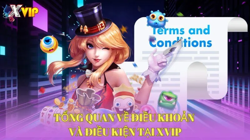 tong-quan-ve-dieu-khoan-va-dieu-kien-tai-xvip